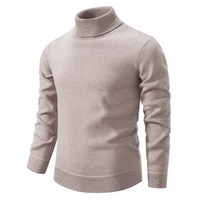 Logan | Premium Rollkragen-Strickpullover